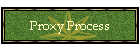 Proxy Process